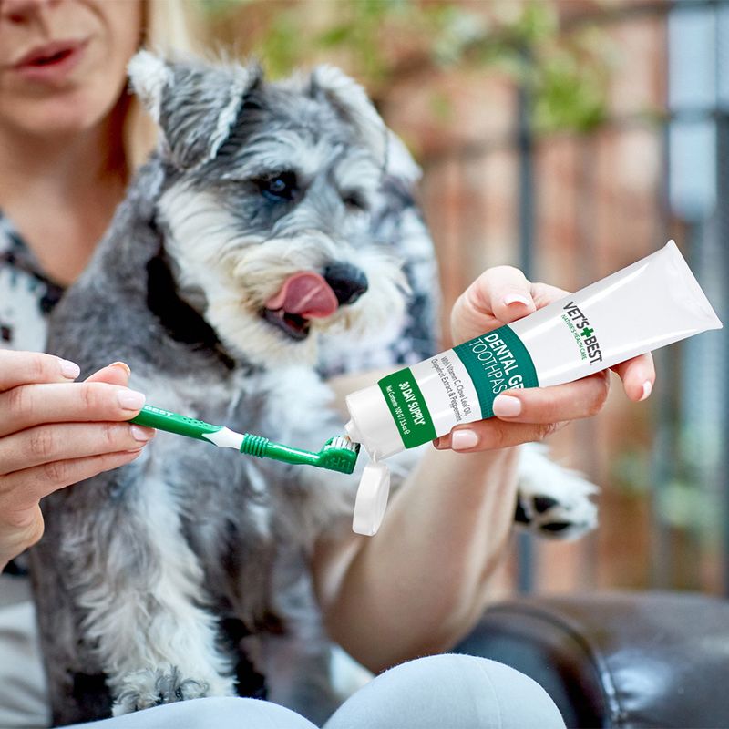 Vet's Best® Dental Care Set for Dogs Toothbrush and toothpaste