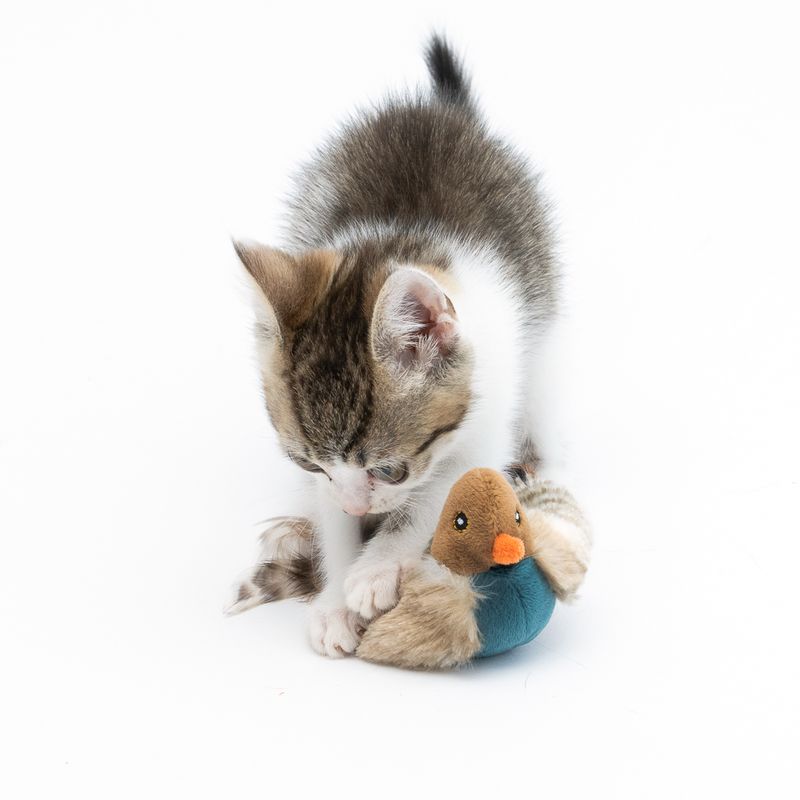 TIAKI Electronic Cat Toy Pipo 1 toy