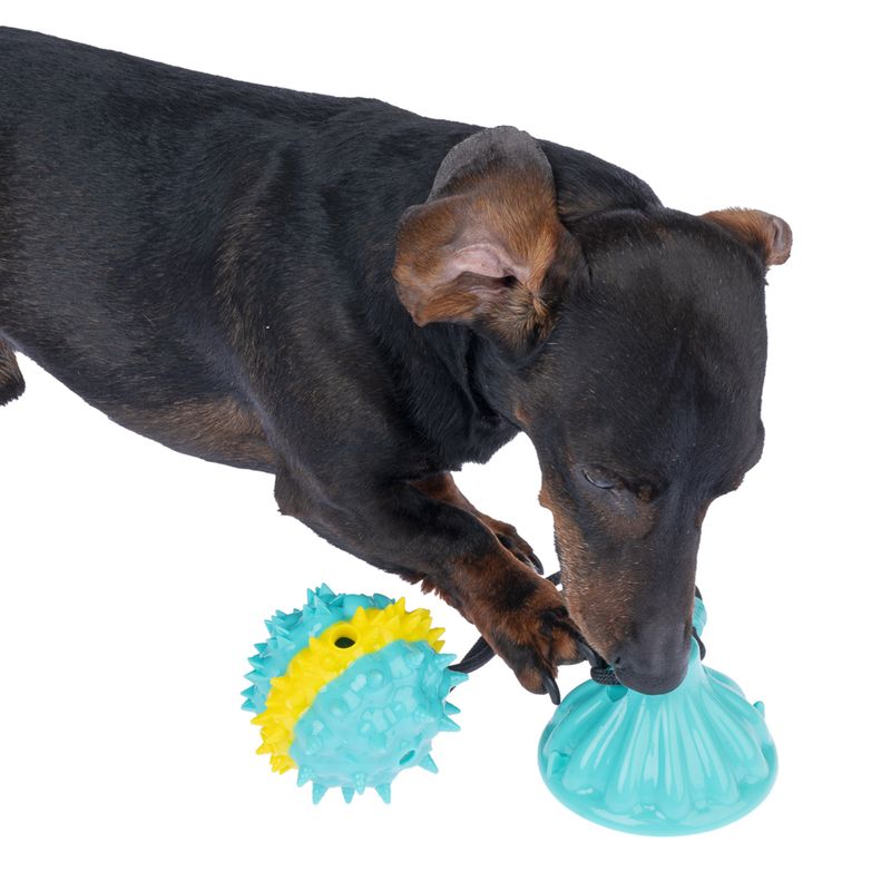 TIAKI Spiky Treat Ball with Suction Cup 1 Toy