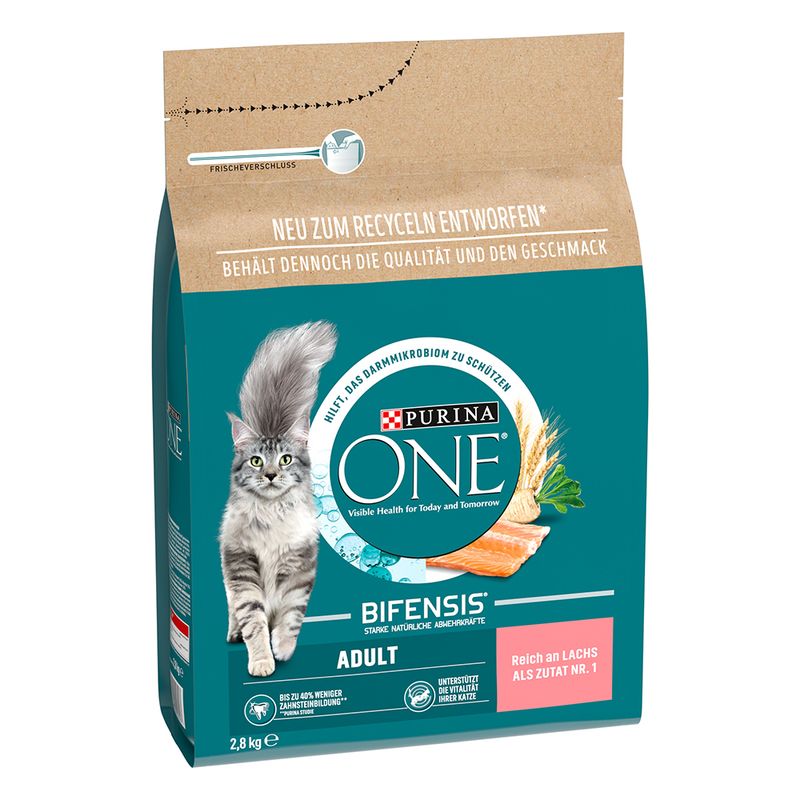 PURINA ONE Adult with salmon & whole grain cereals 2.8 kg