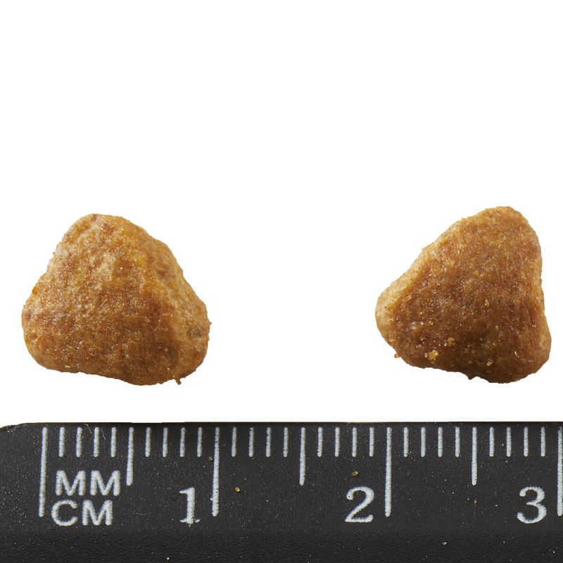 PURINA ONE Urinary Care Chicken 450 g