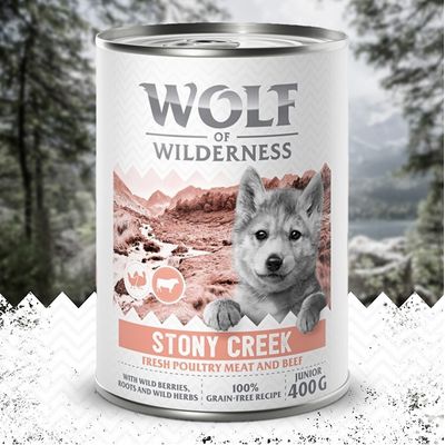 Wolf of Wilderness JUNIOR - poultry with beef 6 x 800 g