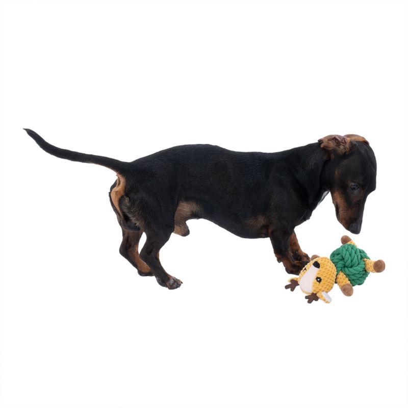 TIAKI Reindeer with Rope Dog Toy 1 Toy