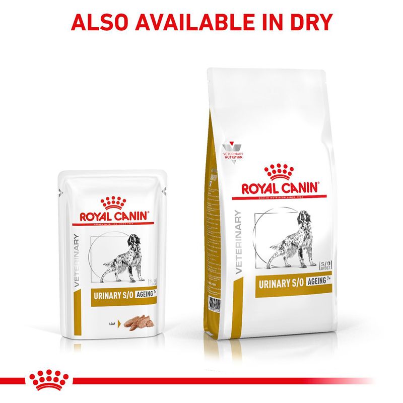 Royal Canin Veterinary Dog - Urinary S/O Ageing 7+ in Loaf 12 x 85g