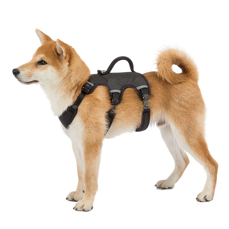 Ferplast Ergotrekking Harness, black Size S: 46 - 56 cm chest circumference