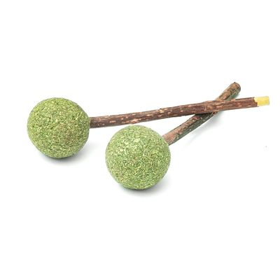 Aumüller Silver Vine Dental Lollipop Cat Treat 1 Set (2 pieces)