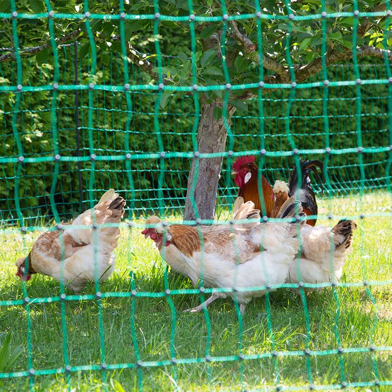 Kerbl Double Tip Powerless Poultry Net 25m x 106cm (L x W)