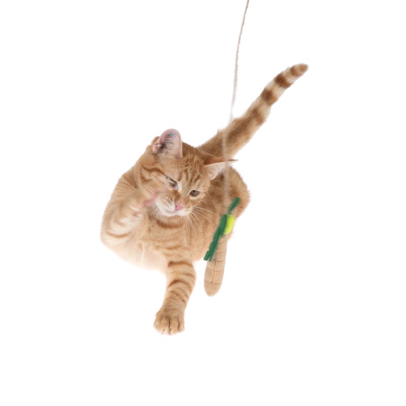 TIAKI Palm Frond Cat Dangler Toy 1 Dangler