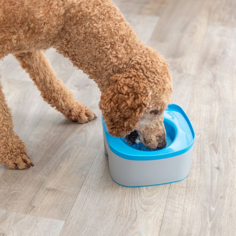 Trixie Strong Travel Bowl 21 x 21 x 11cm (L x W x H)