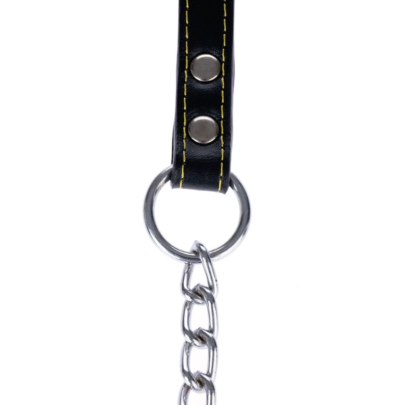 TIAKI Metal Dog Lead Length: approx. 1.2m