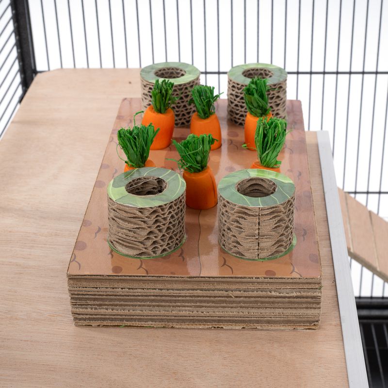 TIAKI Carrot Field Intelligence Toy 24 x 14 x 6cm (L x W x H)