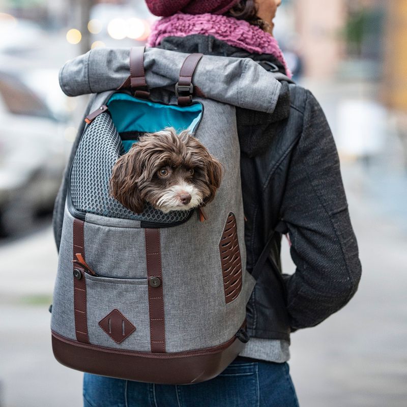 KURGO Backpack for Small Pets 31.8 x 22.9 x 47 cm (L x W x H)
