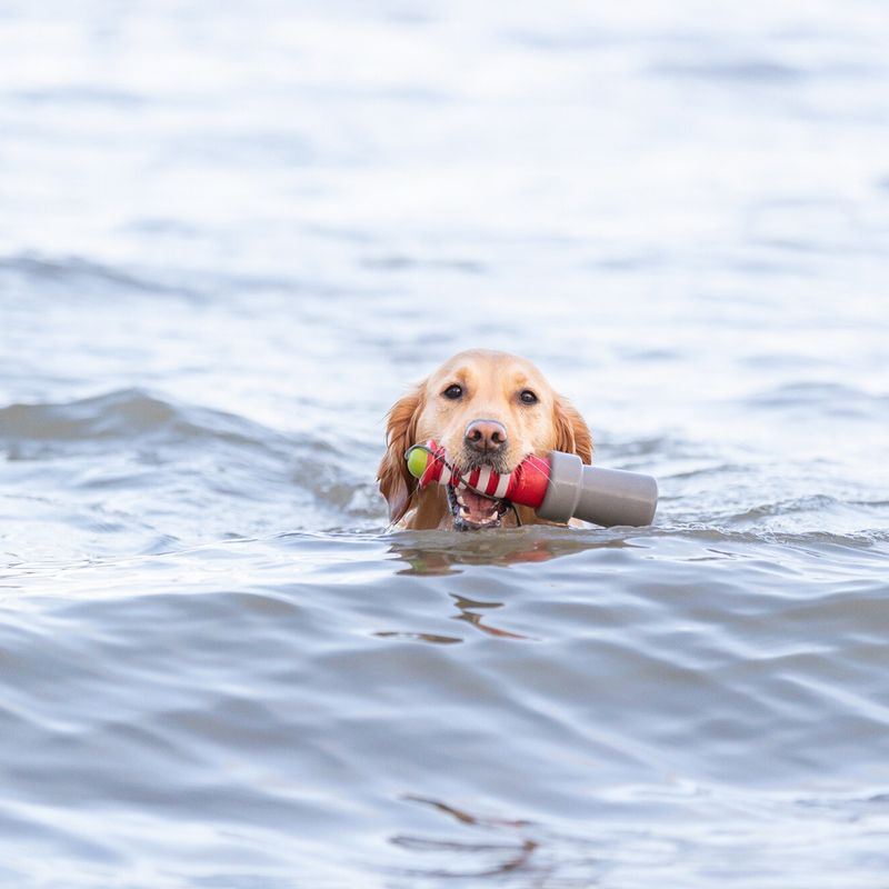 Trixie Lighthouse Water Toy 6 x 20cm (diameter x H)