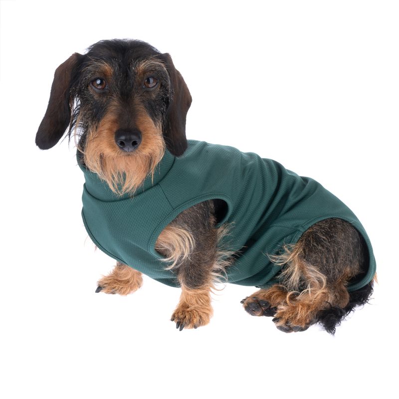 kooa OP-Bodysuit for Female Dogs Size M: approx. 45cm back length