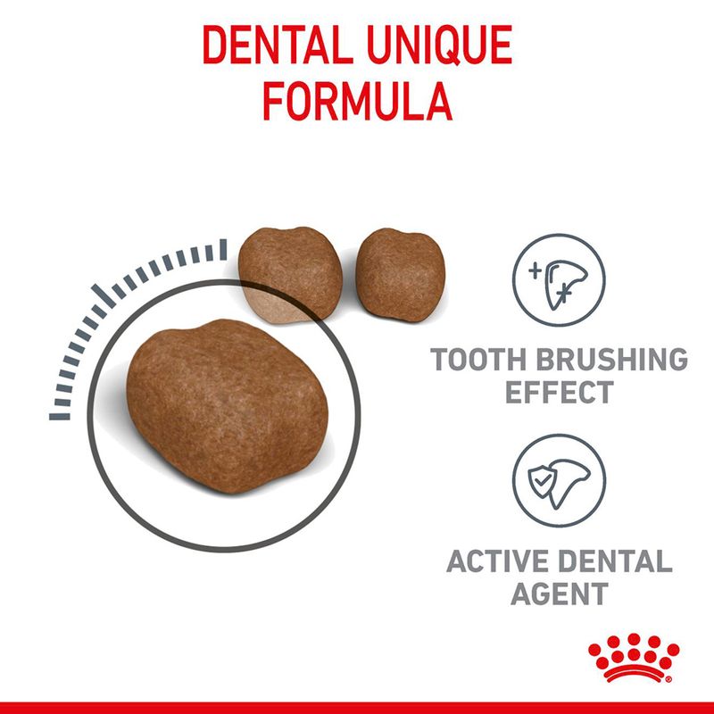 Royal Canin Dental Care 400g