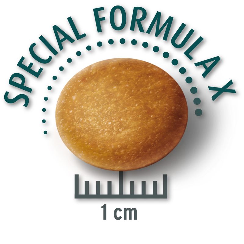 Concept for Life Economy Packs Labrador Sterilised (2 x 12kg)