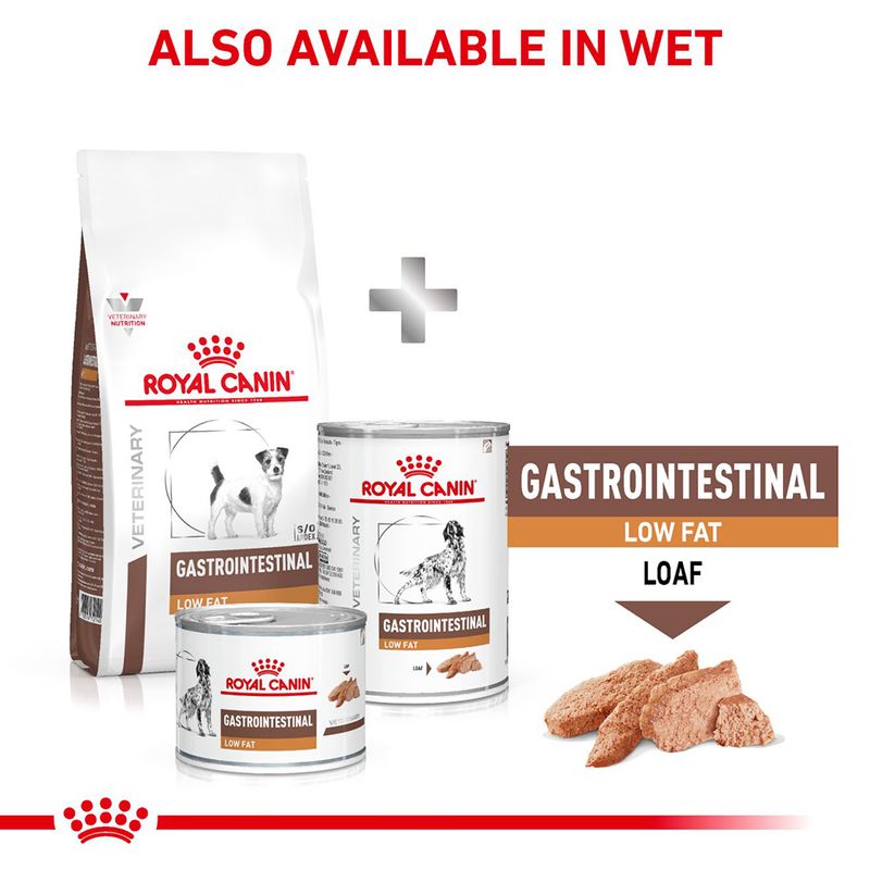 Royal Canin Veterinary Dog - Gastrointestinal Low Fat Small Dog 3.5kg