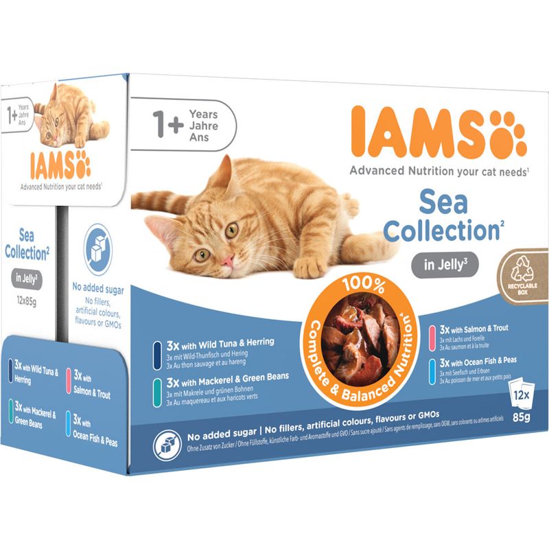IAMS Advanced Nutrition Adult – Sea Collection Sea Collection in Jelly (12 x 85g)