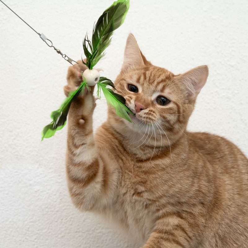 TIAKI Telescopic Cat Fishing Rod with Feathers 1 Toy