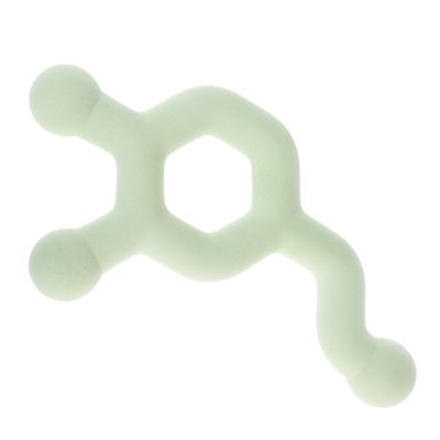 Nomad Tales Bloom Dog Toy Molecule L 25.5 x H 16 x W 3.5 cm