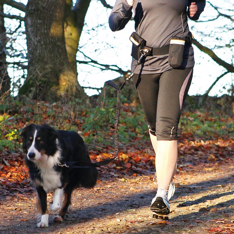 Trixie Hands Free Waist Dog Lead 100 - 135cm