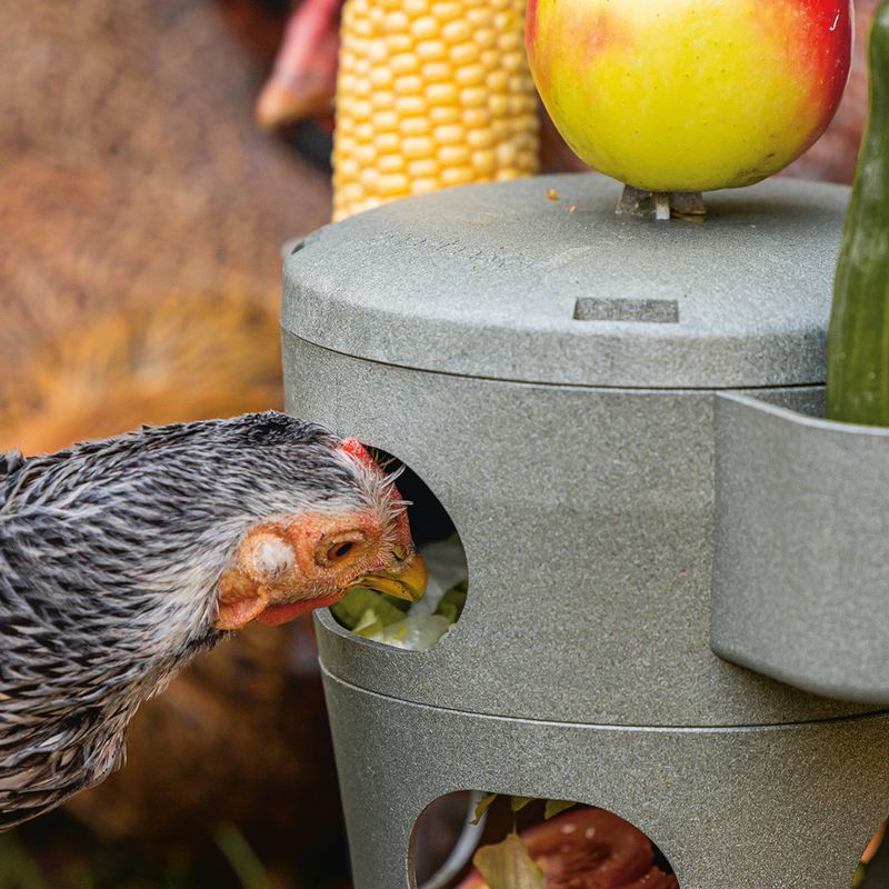 Beeztees Snack Tower for Chickens 30 x 32.5cm (diameter x H)