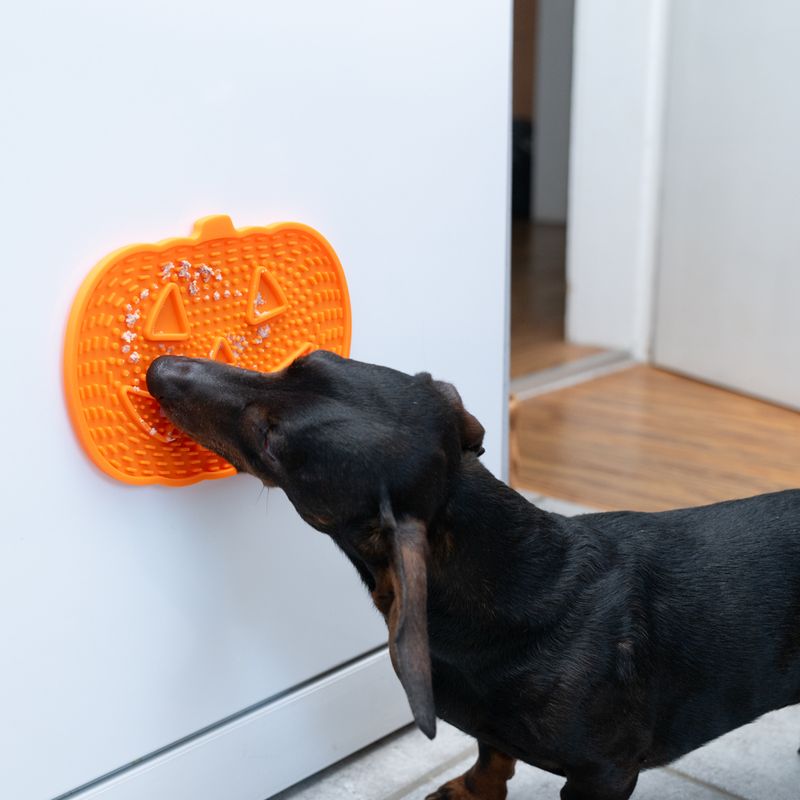 TIAKI Pumpkin Silicone Lick Mat 23 x 16.5 x 1cm (L x W x H)