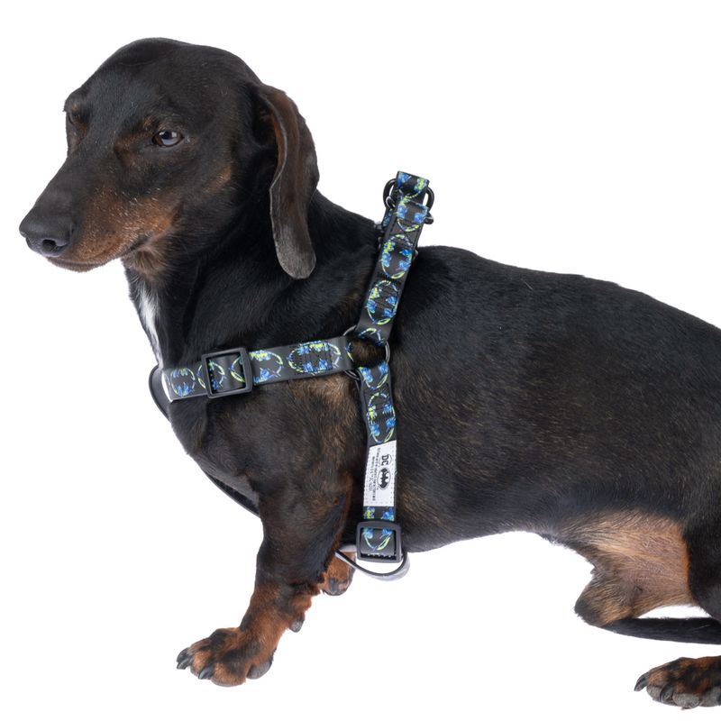 DC Batman Harness - Black Size S: Chest Circumference 39 - 51 cm