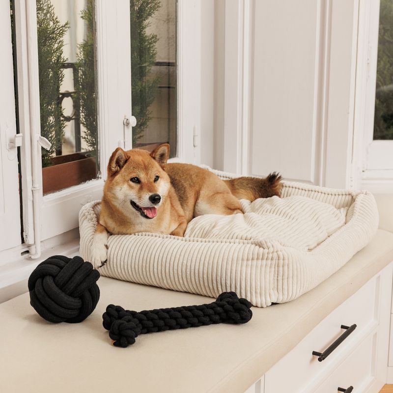 Modern Living Papua Rope Bone 30cm (L)