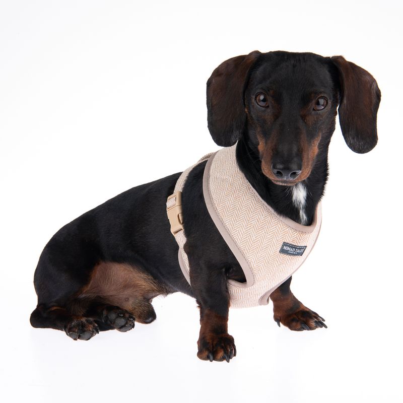 Nomad Tales Calma Harness - Sand Size XS: 26 - 34 cm chest circumference