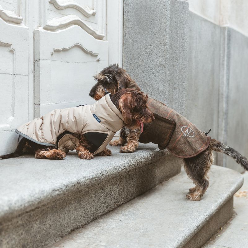 Nomad Tales Bloom Tartan Dog Coat Back length: approx. 35cm
