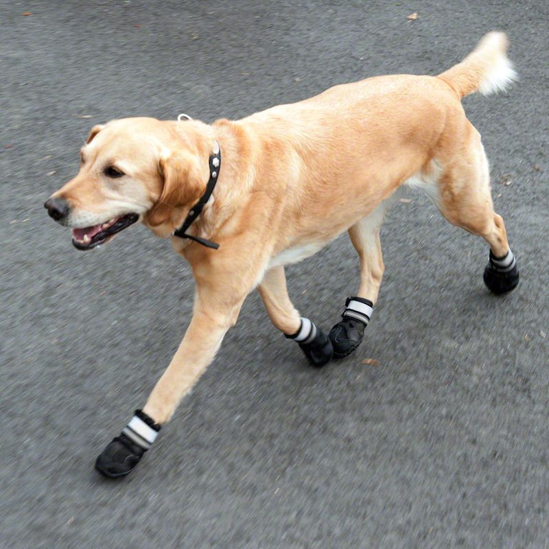 Sports & Protective Dog Boots XS (2)