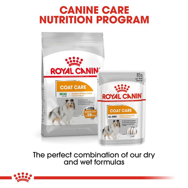 Royal Canin Coat Care Loaf 12 x 85g