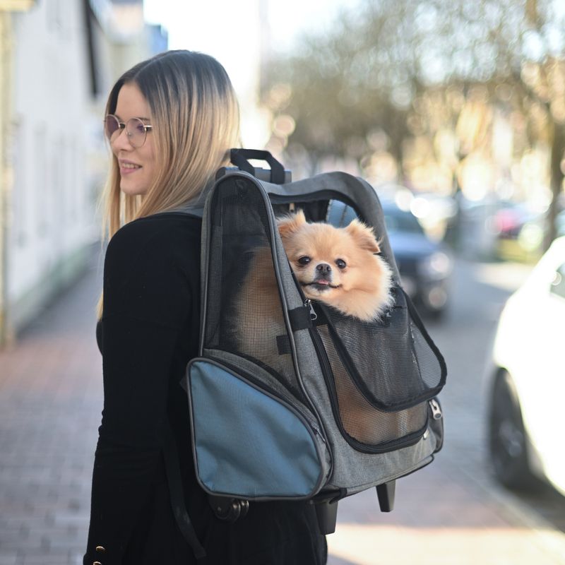 Kerbl Pet Carrier Bag Trolley Vacation 41 x 26 x 55cm (L x W x H)