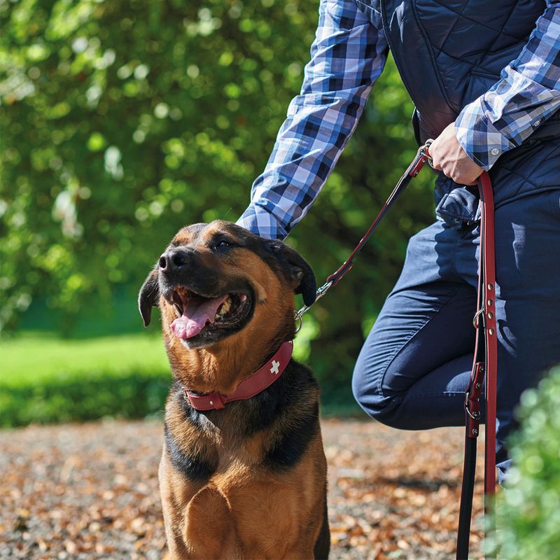 HUNTER Swiss Dog Collar Size 55