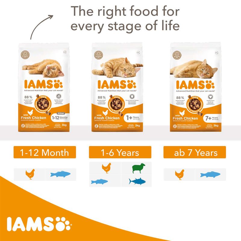 IAMS Advanced Nutrition Senior Cat 7+ with Chicken 3kg
