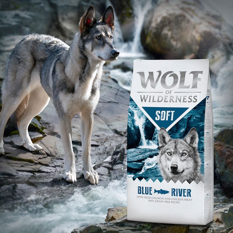 Wolf of Wilderness Soft \