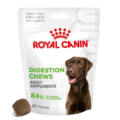 Royal Canin Digestion Adult Supplement Chews 160g (40 pieces)