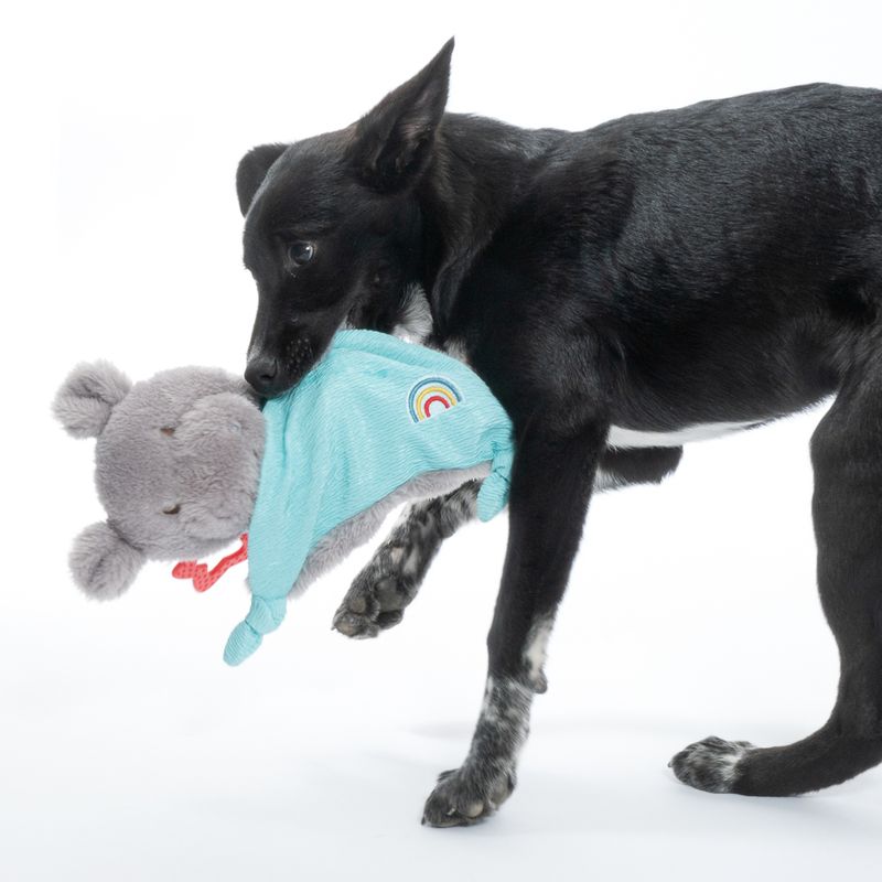 TIAKI Junior Hippo Dog Toy 1 Toy