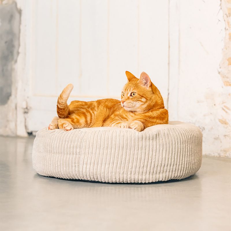 Designed by Lotte Ribbed Bed Light Grey