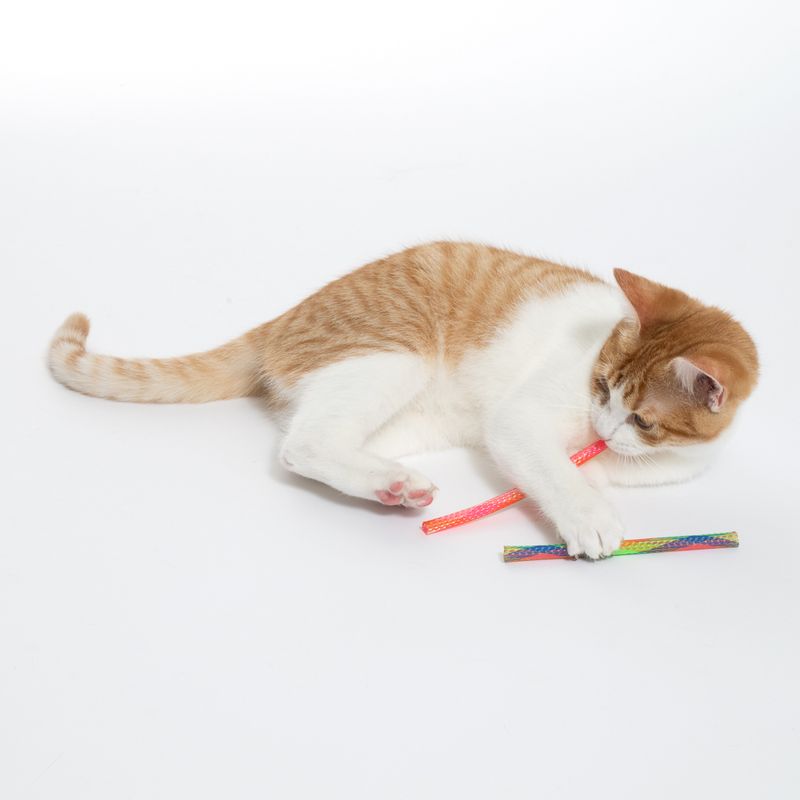 TIAKI Finger Trap Cat Toy Set Set of 4