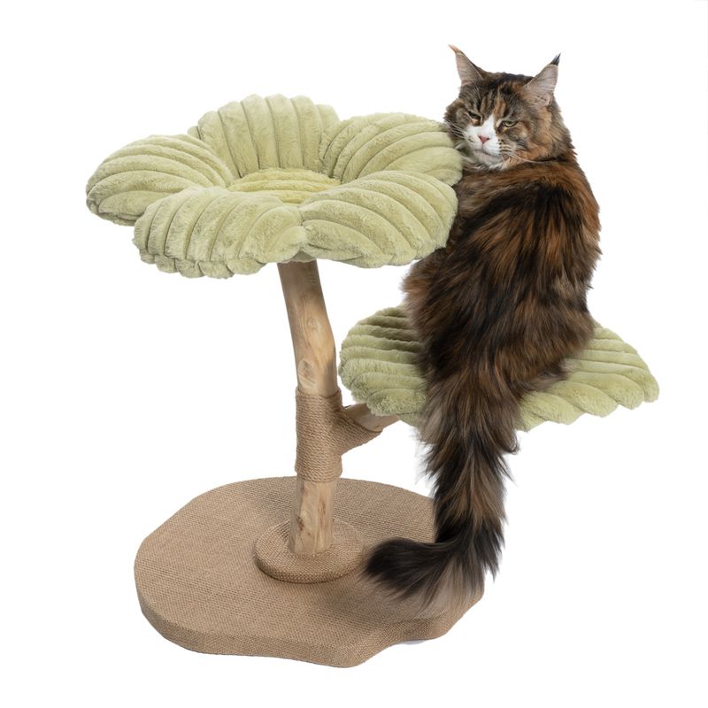 TIAKI Nature Flora Scratching Tree Green
