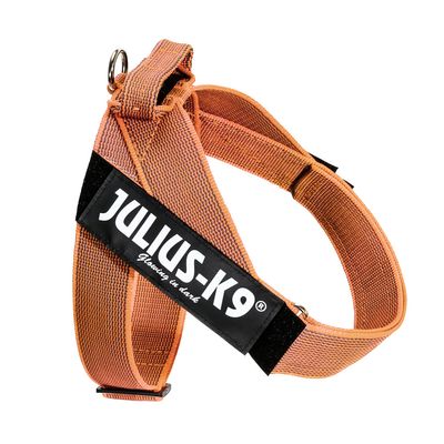 Julius-K9 IDC® Color & Grey Harness - Orange/Grey Size S/Mini: Chest width 49 - 67cm