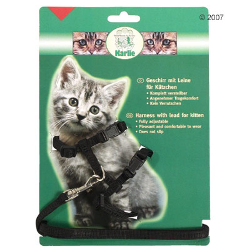 Kitten Harness with Lead Black