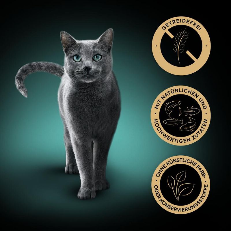 Sheba Varieties Multipack 12 x 85g Ocean Collection Classics in Terrine