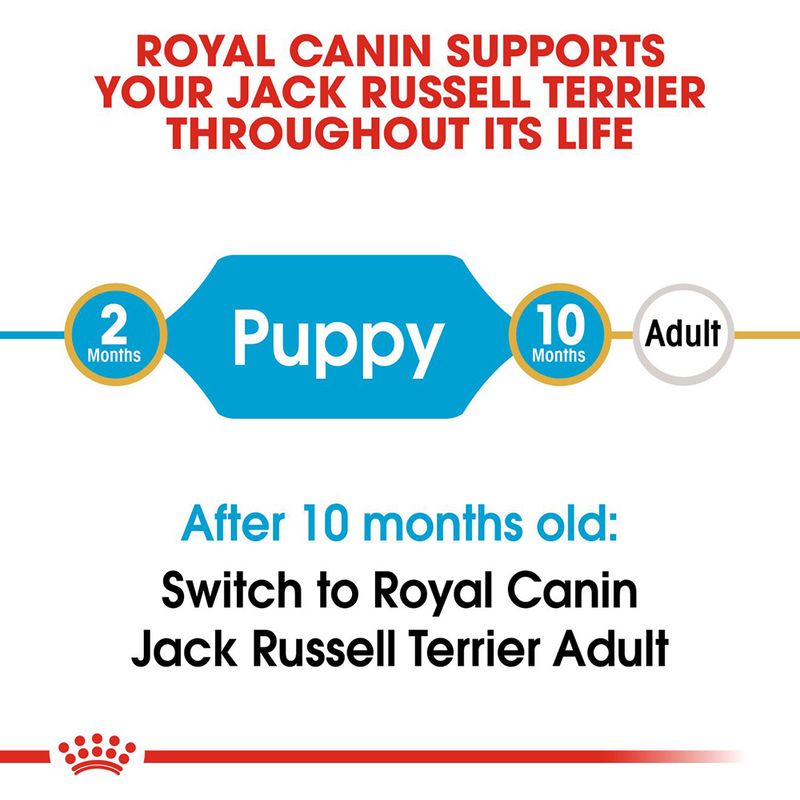 Royal Canin Jack Russell Puppy 3kg