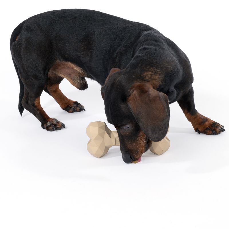 TIAKI Rubber Bone Dog Toy 16 x 7.5 x 4 cm