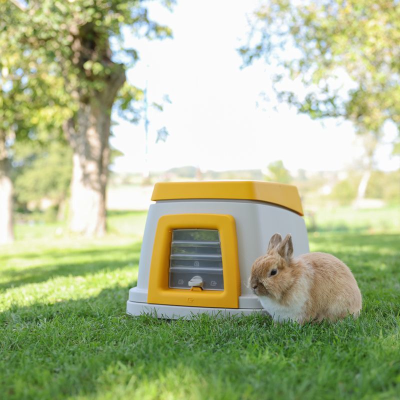 Kerbl Pet Bunny Base Rabbit Hutch 58 x 38.5 x 55 cm (L x W x H)