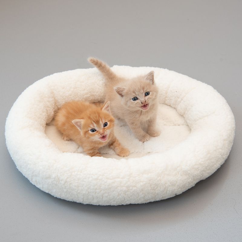 Fluffy 2-in-1 Cuddle Bed Wool White
