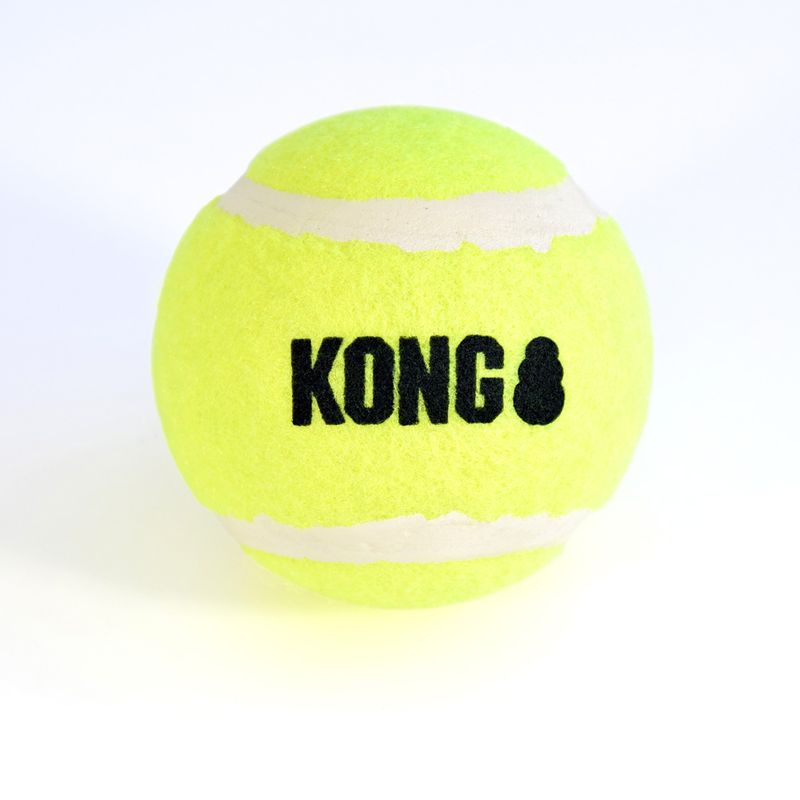 KONG HandiPOD Ball Launcher & Poop Bag Dispenser 1 toy